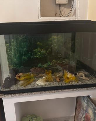 Acquario in buone condizioni da rimettere in funz