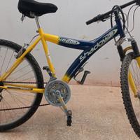 Mountain bike 26  pollici