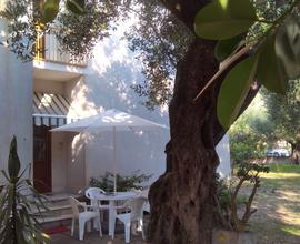 Villa degli ulivi - 6 p. letto - settembre