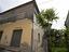 Immagine 19