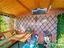 Immagine 26