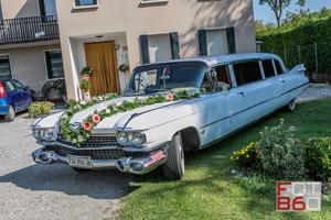 Cadillac 1959 Fleetwood stretch