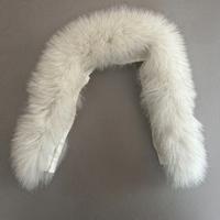 Collo di Volpe Argentata