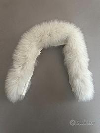 Collo di Volpe Argentata