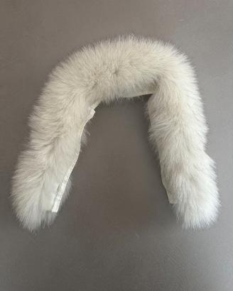 Collo di Volpe Argentata