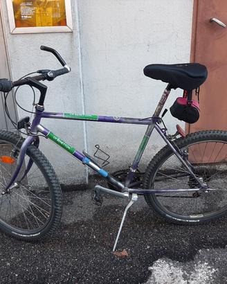 bicicletta