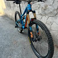 IBIS RIPMO V1