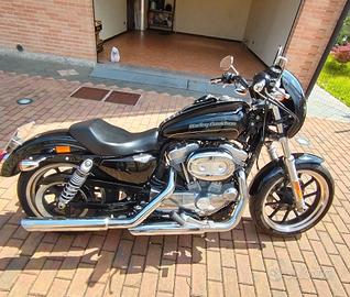 Harley - Davidson XL 883 L