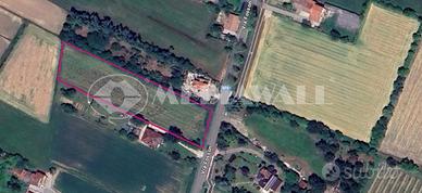 Seminativo a Annone Veneto