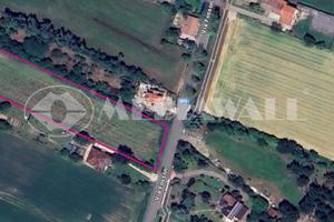 Seminativo a Annone Veneto