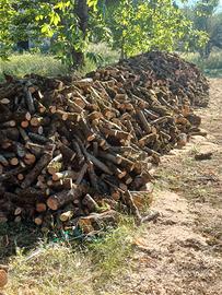 Legna di nocciolo per stufa e camino