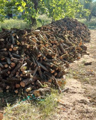Legna di nocciolo per stufa e camino