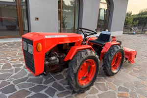 Trattorino Valpadana 4RM-260 con Fresa e targa