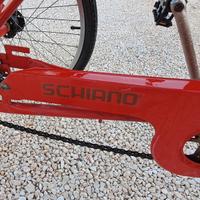 Schiano bici triciclo