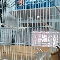 gabbia per uccelli 