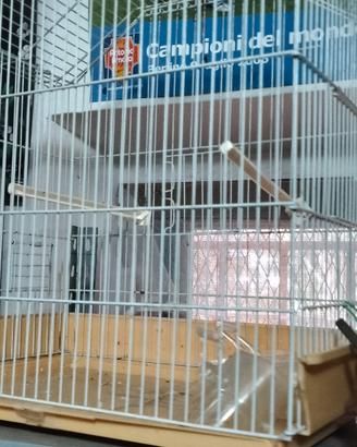 gabbia per uccelli 