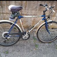 Bicicletta silver star