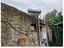 Immagine 10
