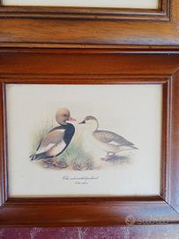 Quadretti Arte Povera