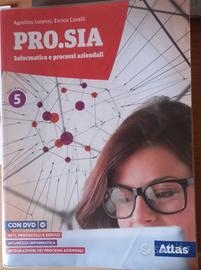 Libro -pro.sia - Informatica e processi aziendali