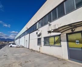 Capannone con soppalco, uffici e area scoperta