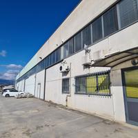 Capannone con soppalco, uffici e area scoperta