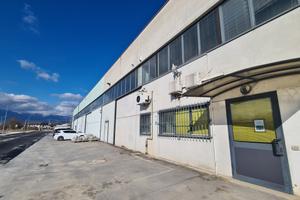 Capannone con soppalco, uffici e area scoperta