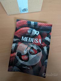 NTS Audio "Medusa" - limited edition x Power