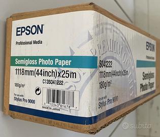 Epson Semigloss Photo Paper Roll C13S041222