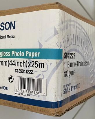 Epson Semigloss Photo Paper Roll C13S041222