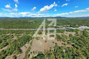 AMPIO TERRENO / PASCOLO - SGONICO