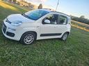 fiat-panda