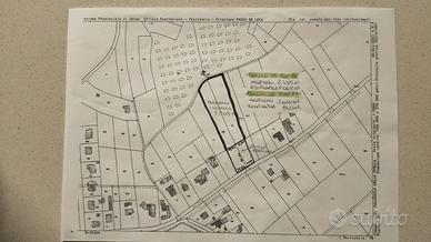 Terreni
