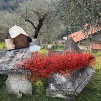 Rete ovini caprini 50 metri