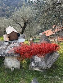 Rete ovini caprini 50 metri