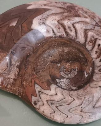 Minerale fossile naturale 