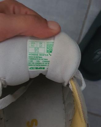 scarpe