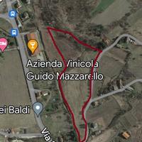 Vendita terreni agricoli - Comune di Casaleggio Bo