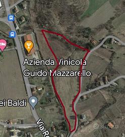 Vendita terreni agricoli - Comune di Casaleggio Bo