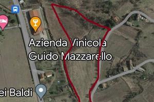 Vendita terreni agricoli - Comune di Casaleggio Bo