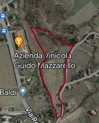 Vendita terreni agricoli - Comune di Casaleggio Bo
