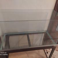 Acquario e Accessori(Solo ritiro in zona,Foggia)