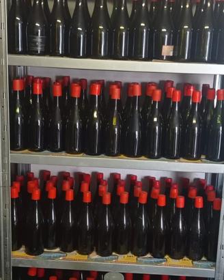 bottiglie per imbottigliamento vino