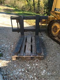 Pala cingolata Venieri