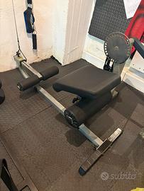 Panca Body-Solid (Lombari e Addominali)