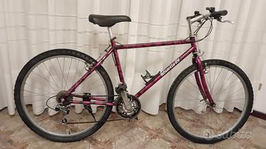 Mountain bike ruote da 26
