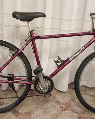 Mountain bike ruote da 26
