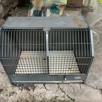 Porta cani da caccia