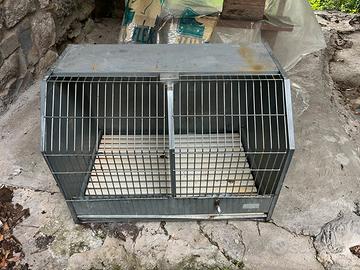 Porta cani da caccia