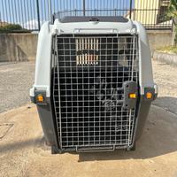 Trasportino auto per cani grandi skudo 6